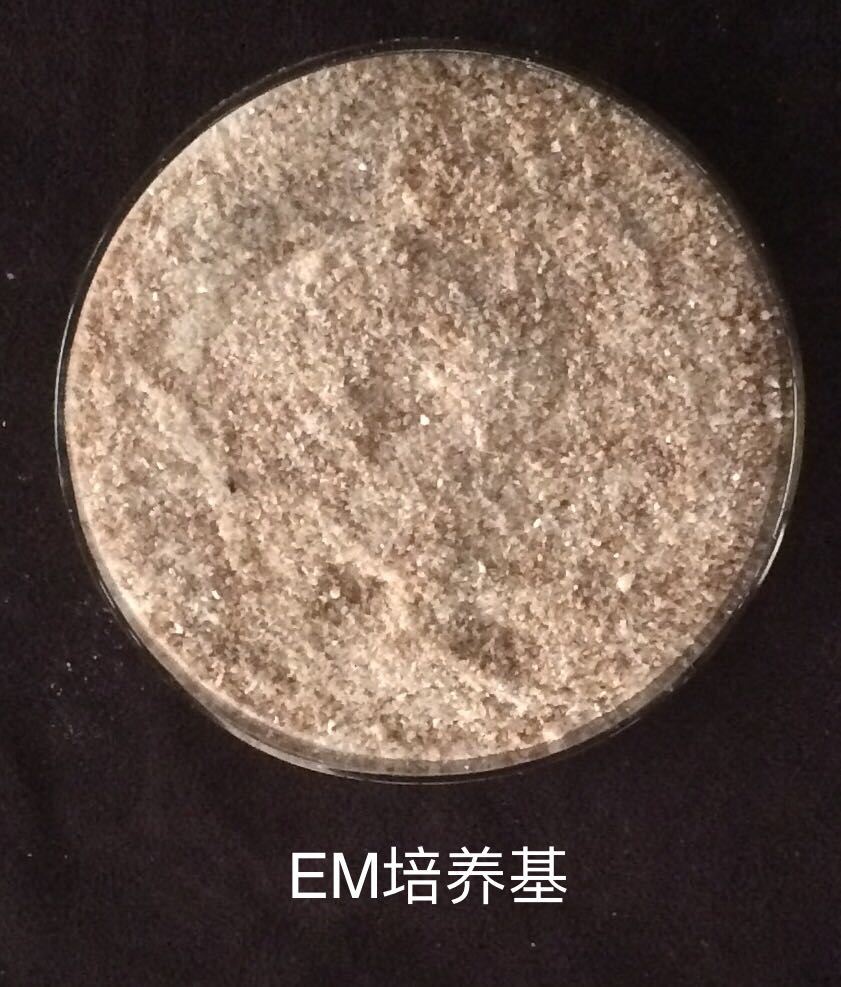 EM
